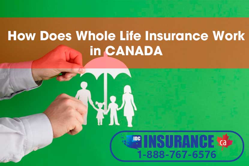 how does whole life insurance work in canada
