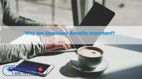 employee benefits in canada for employers