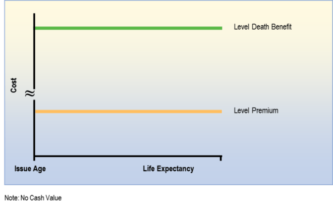 term to 100 life insurance